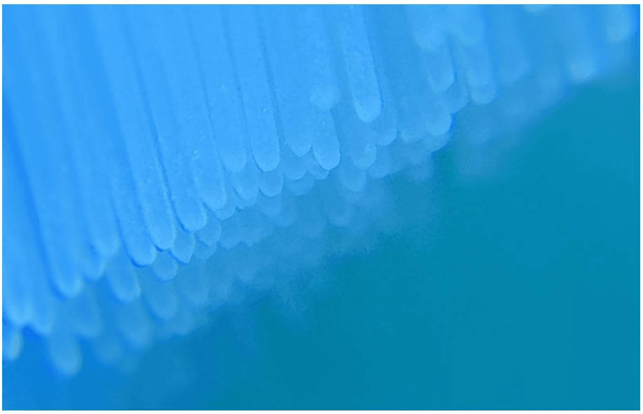 Насадка для электрической зубной щетки Mi Electric Toothbrush Head (3-pack, standard) Light Grey DDYST01SKS (NUN4010GL)