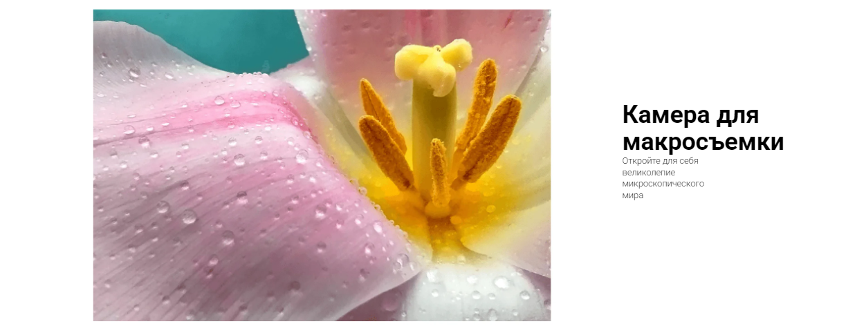 Смартфон Redmi Note 12 RU 6+128 Гб Onyx Gray (MZB0E0FRU)