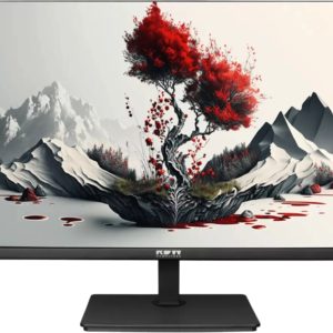 Монитор RDW Computers 23.8" RDW2401K черный IPS 4ms 16:9 HDMI M/M матовая HAS Piv 1000:1 300cd 178гр/178гр 1920x1080 100Hz VGA DP FHD 1.7кг (RUS)